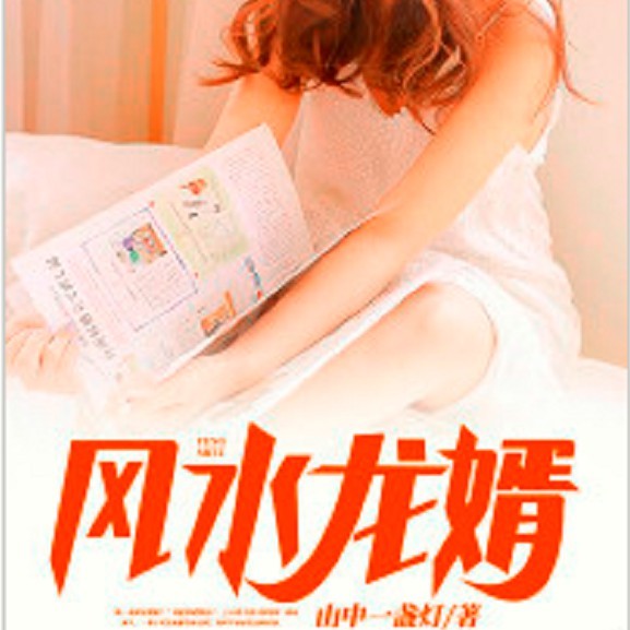 《風水龍婿》有哪些版本