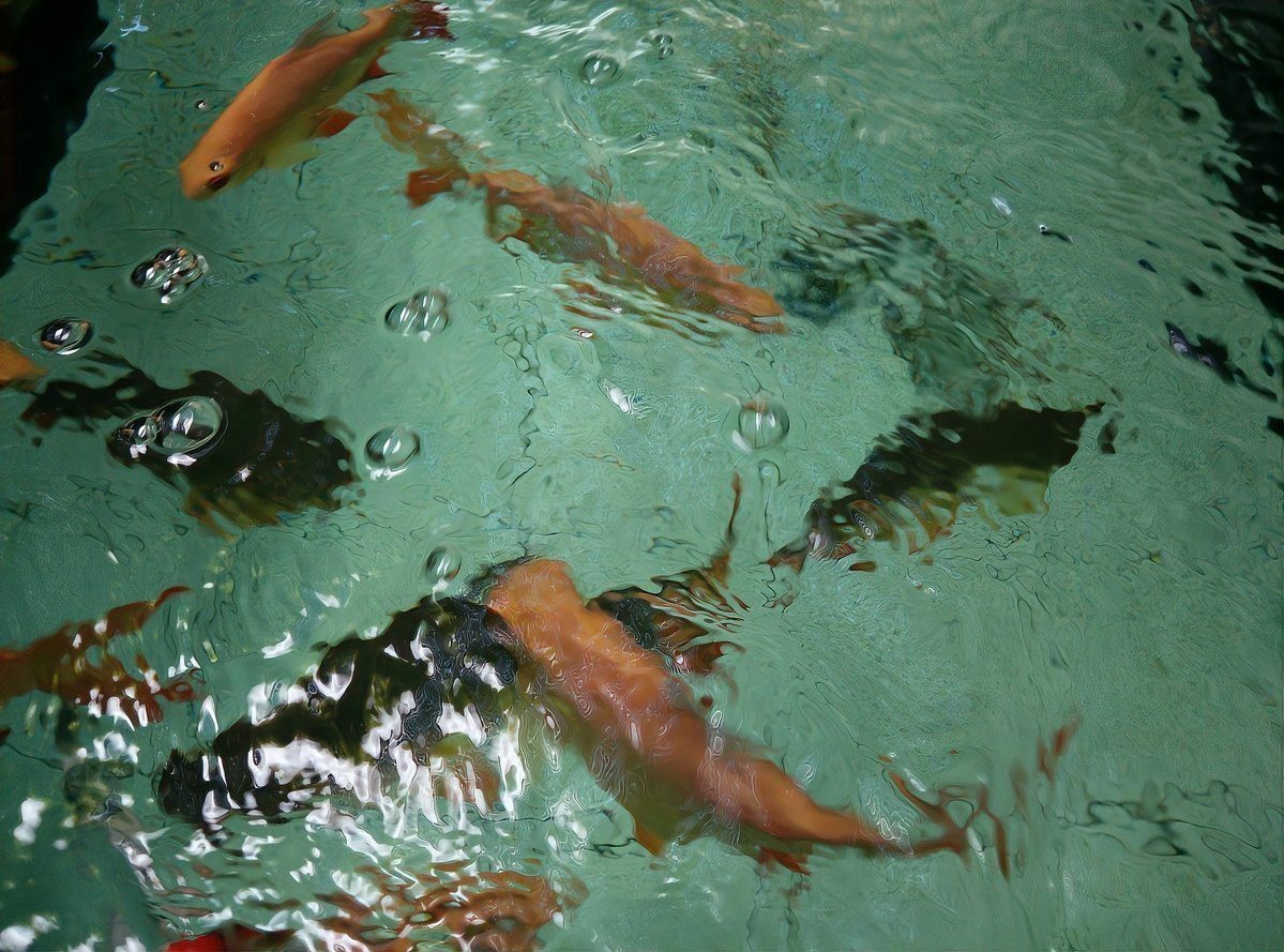 夜間魚跳缸的預兆
