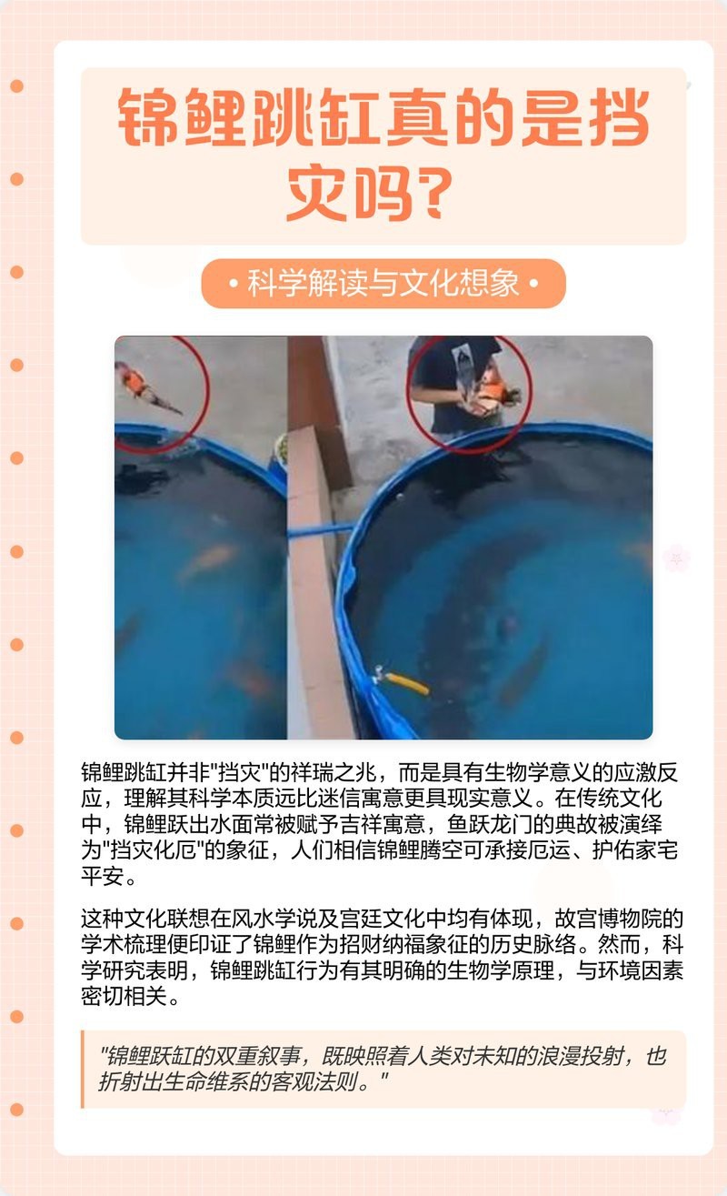 夜間魚跳缸的預兆