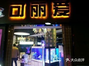 可麗愛魚缸官網專賣店地址在哪里啊，可麗愛魚缸專賣店營業時間查詢可麗愛魚缸專賣店營業時間查詢