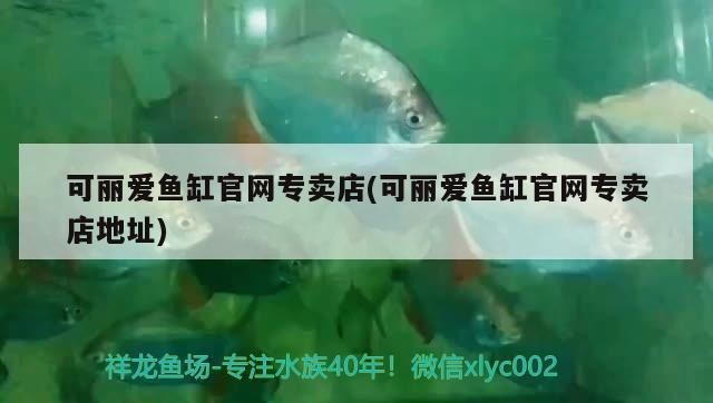可麗愛魚缸官網專賣店地址在哪里啊，可麗愛魚缸專賣店營業時間查詢可麗愛魚缸專賣店營業時間查詢