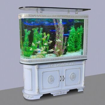 創佳魚缸：創佳魚缸布置技巧分享，