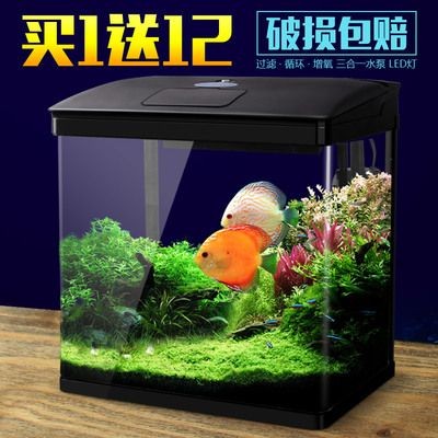 創佳魚缸：創佳魚缸布置技巧分享，