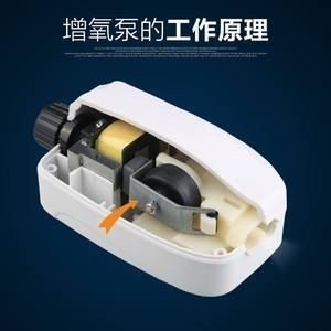 魚缸增氧泵原理 結構（魚缸增氧泵原理結構）