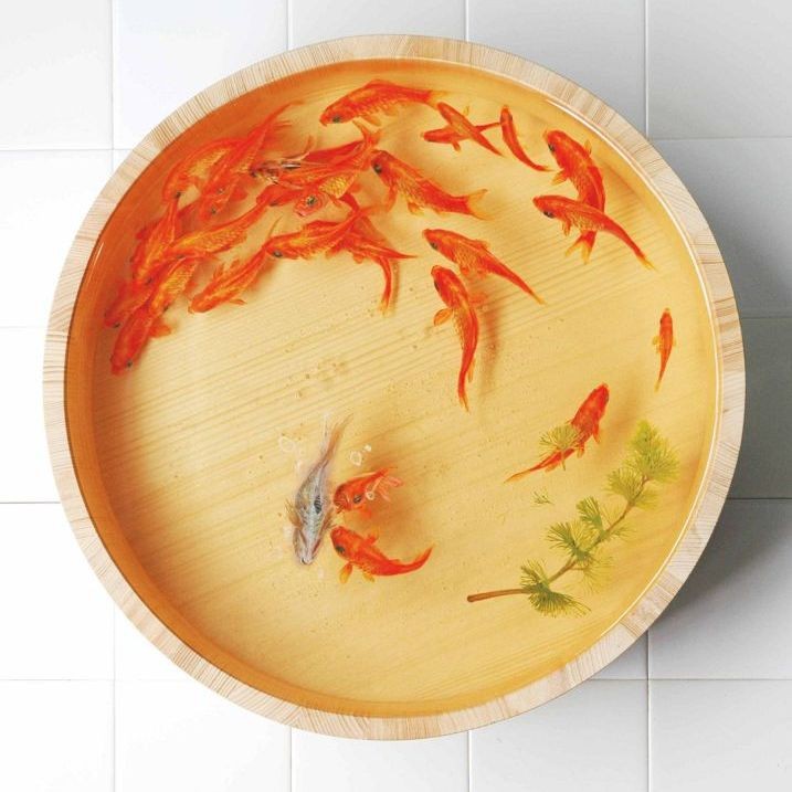 金龍魚樹脂工藝品 金龍魚樹脂工藝品 龍魚論壇 第1張