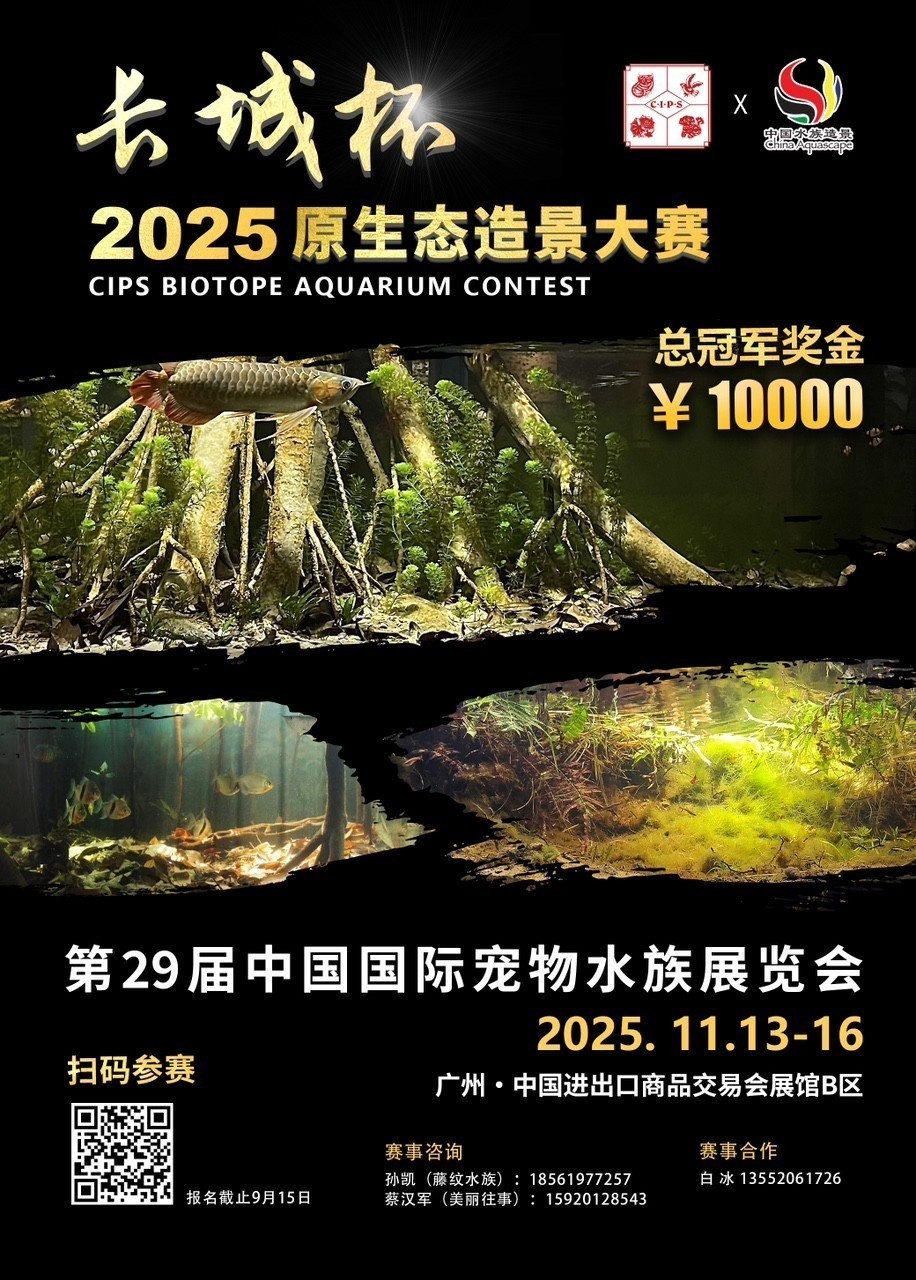 2025“長城杯”四大造景賽事全面啟動！