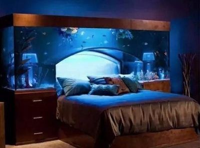 床頭 魚缸：床頭放置魚缸的實用性