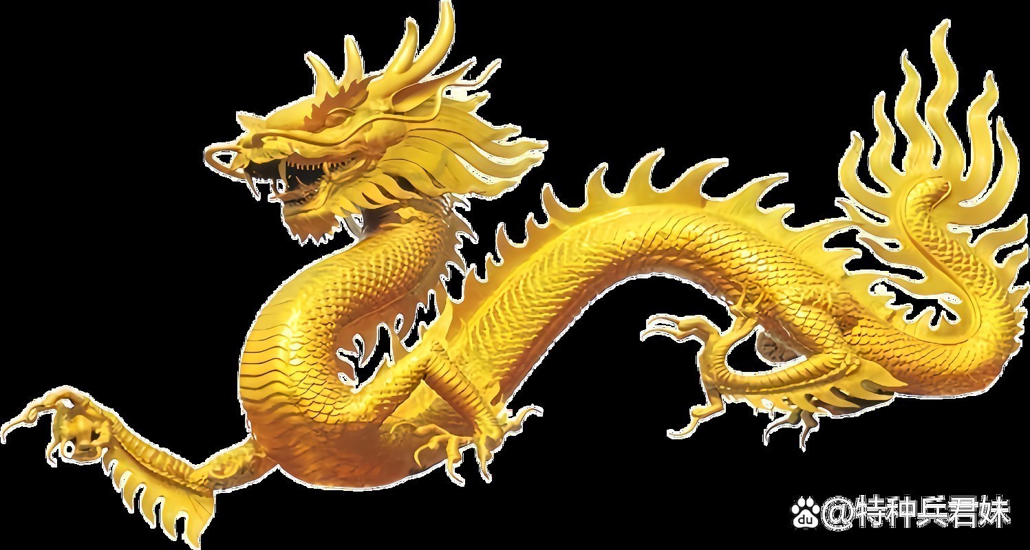 真正的金龍圖片
