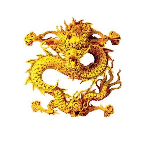 真正的金龍圖片