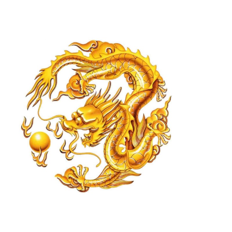 真正的金龍圖片