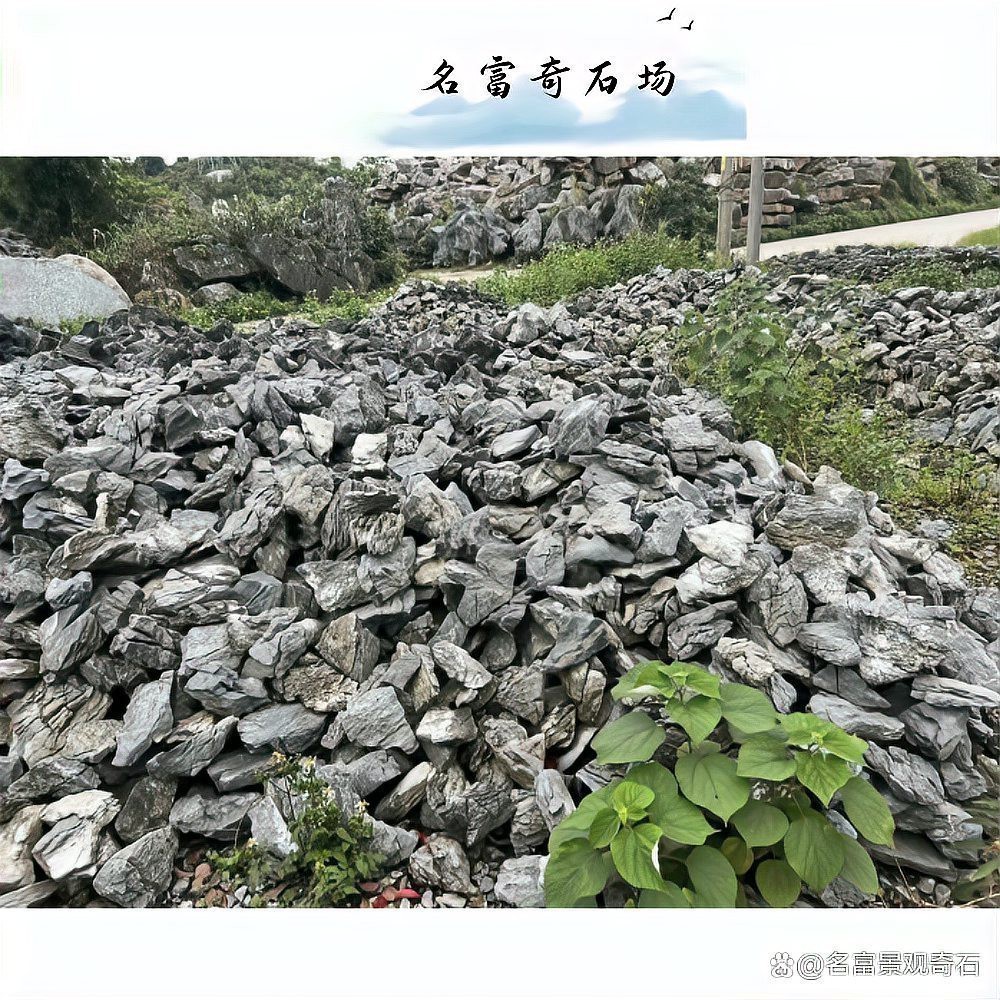 有哪些龍魚缸造景的圖片可以參考？
