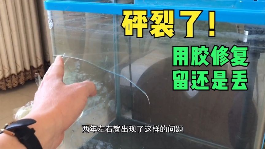 壞了的魚(yú)缸怎么處理好呢（如何處理壞了的魚(yú)缸）