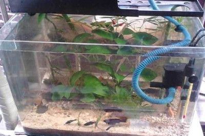 壞了的魚(yú)缸怎么處理好呢（如何處理壞了的魚(yú)缸）