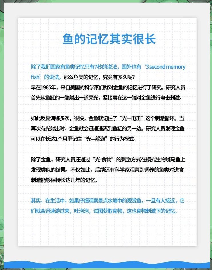 金龍魚記憶能力有多強？