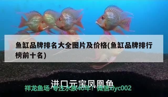 品牌魚缸排名圖片高清：森森魚缸耐用性測試報告：佳寶魚缸耐用性測試報告