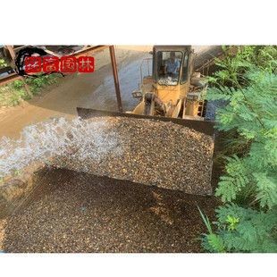 過濾石材是否可以直接放魚缸里，需要根據石材種類和特性來判斷：過濾石材可以直接放魚缸里嗎？