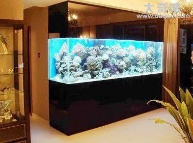 關于魚缸風水的知識：五行學說與風水布局五行學說與風水布局五行學說