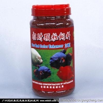 廣州哪里有金龍魚批發(fā)市場(chǎng)啊價(jià)格多少：廣州市內(nèi)多個(gè)金龍魚批發(fā)市場(chǎng)