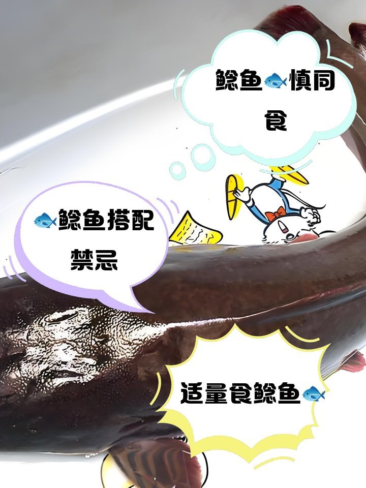 鯰魚相克食物有哪些