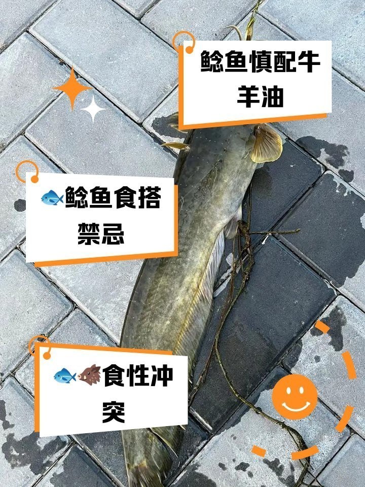 鯰魚相克食物有哪些