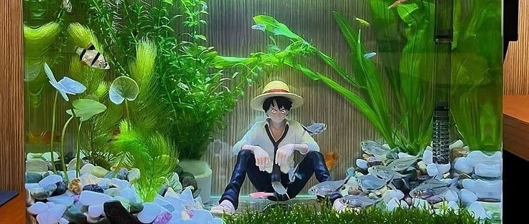 歐式魚缸造景：歐式風格魚缸造景