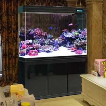 魚缸的價位一般是多少：自制魚缸成本分析