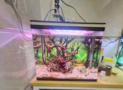 老漁匠魚缸官網：老漁匠魚缸官網提供在線客服和售后支持