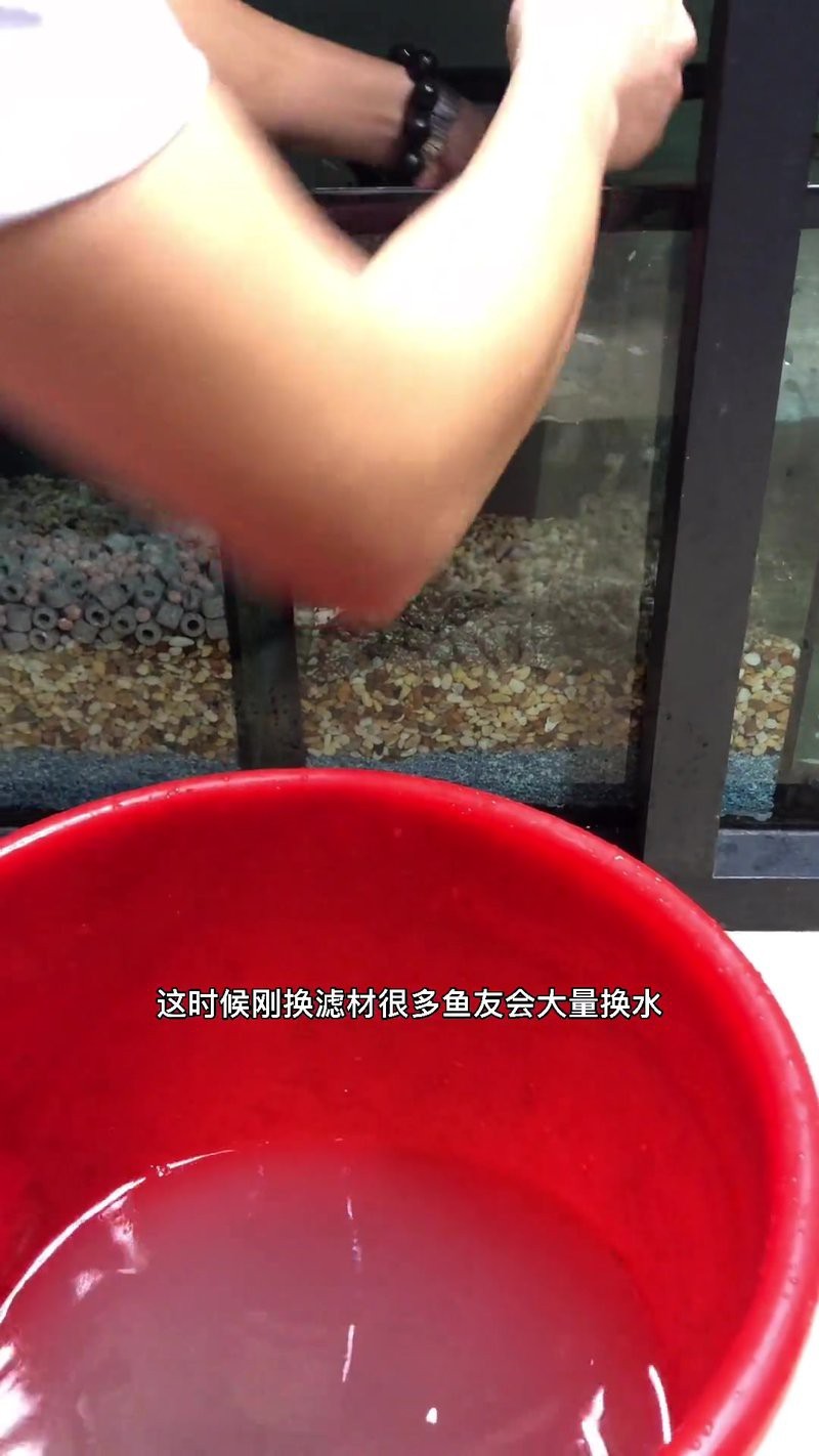 龍魚缸裝飾物多久需要更換