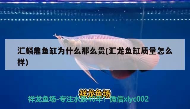 天津濱海新區海岸寵物用品店