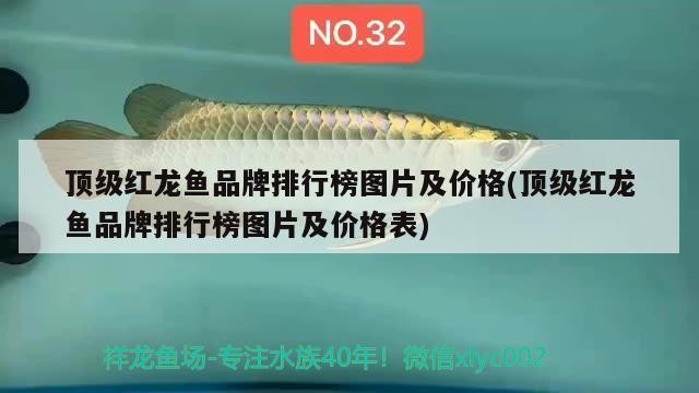 泰安市泰山區(qū)意品寵物店