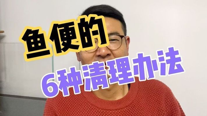 魚缸魚糞便怎么處理，如何選擇適合的魚缸過濾器