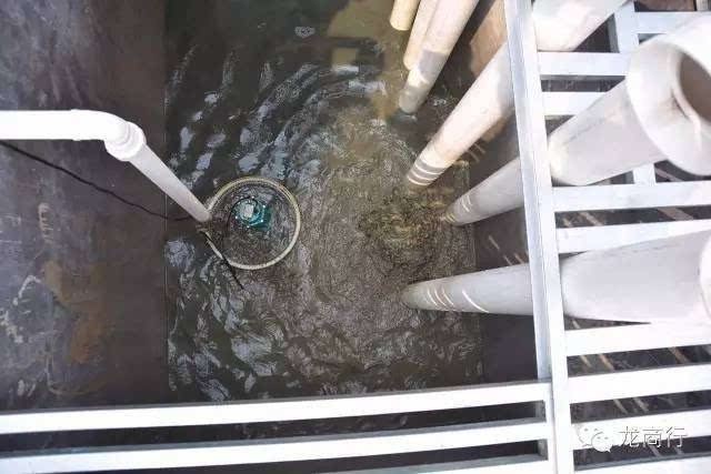 魚缸魚糞便怎么處理，如何選擇適合的魚缸過濾器