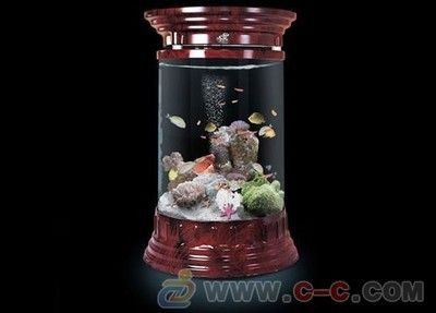水族箱生態設計的藝術水族箱生態設計的藝術水族箱:方形玻璃魚缸酒罐信息 魚缸百科 第4張 水族箱生態設計的藝術水族箱生態設計的藝術水族箱:方形玻璃魚缸酒罐信息 水族箱生態設計的藝術水族箱生態設計的藝術水族箱:方形玻璃魚缸酒罐信息 魚缸百科 第4張