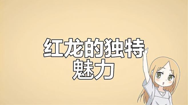 紅龍不染圖片的尺寸有哪些？