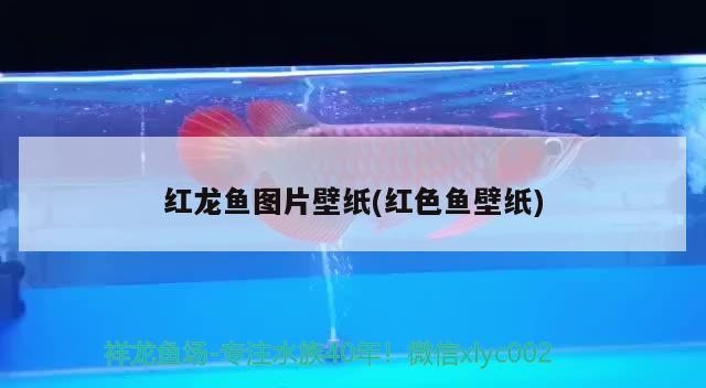 威寧縣水晶水族館