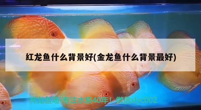 威寧縣水晶水族館
