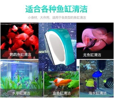 龍魚缸怎么清洗（龍魚缸怎么清洗清洗龍魚缸是一個細致且重要的過程） 龍魚缸怎么清洗（龍魚缸怎么清洗清洗龍魚缸是一個細致且重要的過程） 魚缸百科 第5張