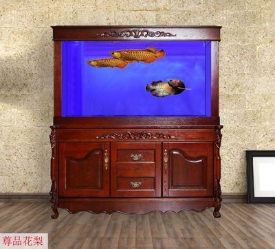 龍魚缸怎么清洗（龍魚缸怎么清洗清洗龍魚缸是一個細致且重要的過程） 龍魚缸怎么清洗（龍魚缸怎么清洗清洗龍魚缸是一個細致且重要的過程） 魚缸百科 第3張