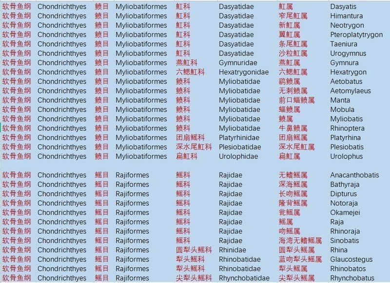 魟魚和鰩魚最簡單區(qū)分圖