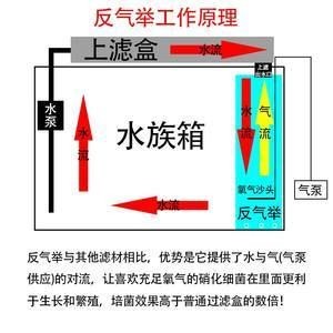 魚缸水泵的工作原理圖：魚缸水泵的工作原理