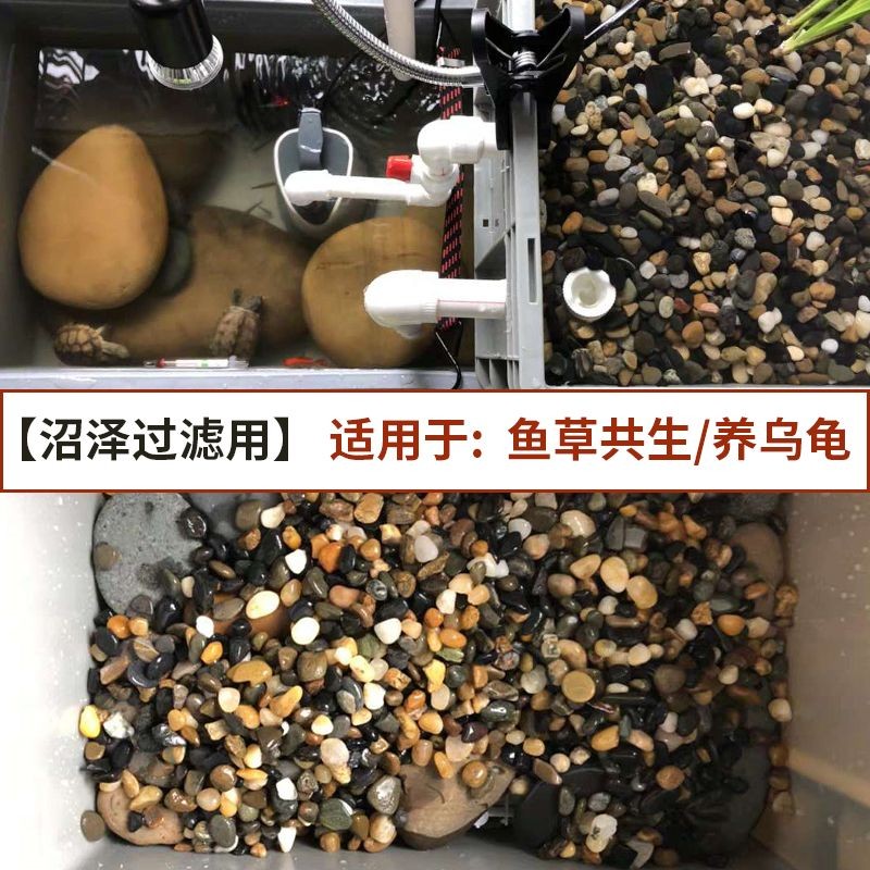 鵝卵石魚缸造景圖片擺法（鵝卵石魚缸造景圖片擺法技巧鵝卵石魚缸造景圖片擺法）