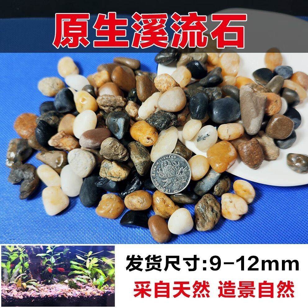 鵝卵石魚缸造景圖片擺法（鵝卵石魚缸造景圖片擺法技巧鵝卵石魚缸造景圖片擺法）