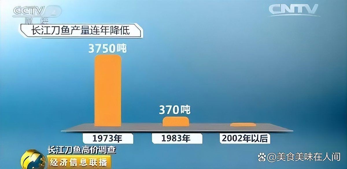 鱭魚俗稱什么魚