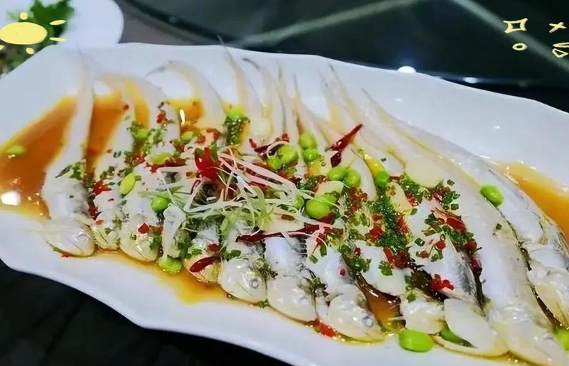 鱭魚俗稱什么魚