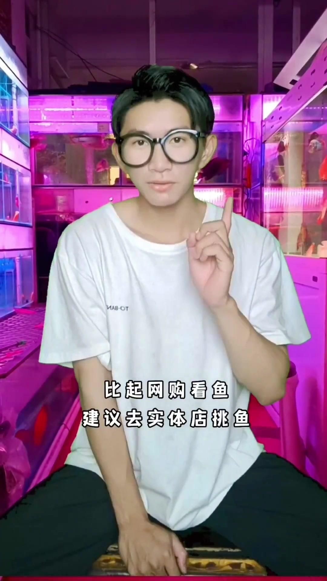 蝴蝶鯉好還是錦鯉好
