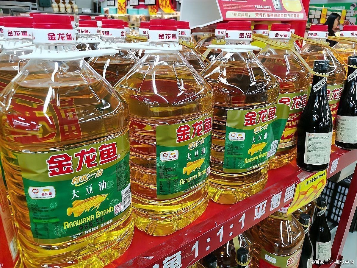 金龍魚發展前景