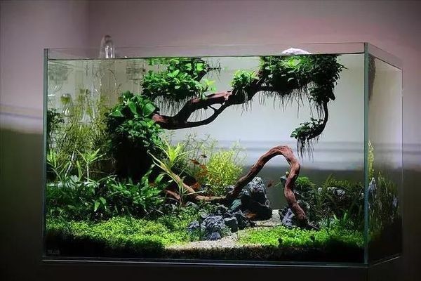 高端魚缸造景效果圖大全：高端魚缸造景效果圖