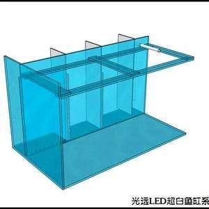 幻彩紅寶石雷龍魚飼養技巧：幻彩紅寶石雷龍魚的飼養技巧