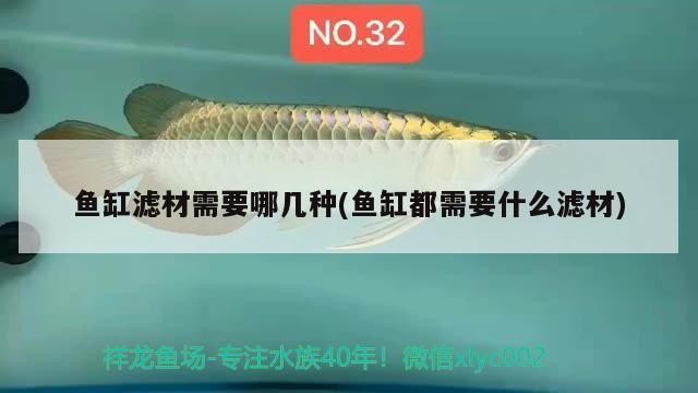 天津市馬永紅水產養殖專業合作社(天津市馬永紅水產養殖專業合作社地址) 全國水族館企業名錄 第1張 天津市馬永紅水產養殖專業合作社(天津市馬永紅水產養殖專業合作社地址) 天津市馬永紅水產養殖專業合作社(天津市馬永紅水產養殖專業合作社地址) 全國水族館企業名錄 第1張