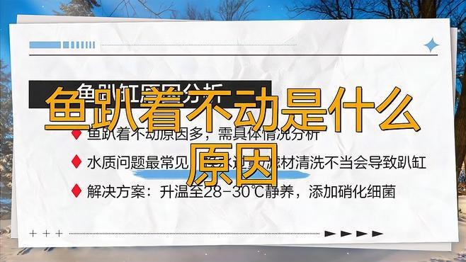 魚趴底是什么原因